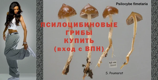 кокаин колумбия Алексин