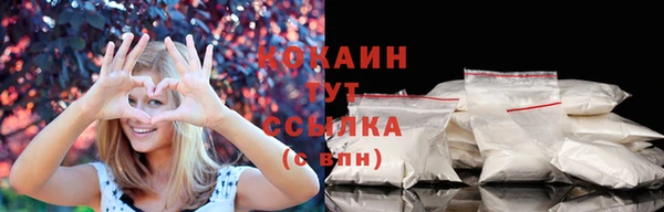 ПСИЛОЦИБИНОВЫЕ ГРИБЫ Аркадак