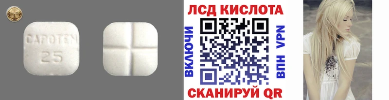 LSD-25 экстази ecstasy  shop клад  Прохладный 
