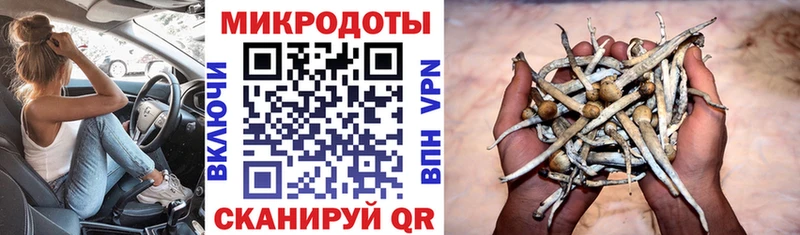 Псилоцибиновые грибы MAGIC MUSHROOMS  Прохладный 