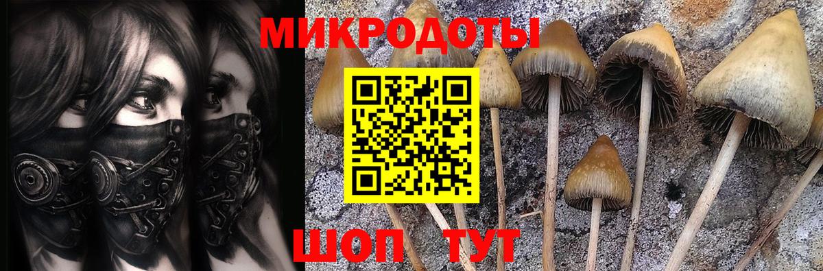 Псилоцибиновые грибы ЛСД Прохладный