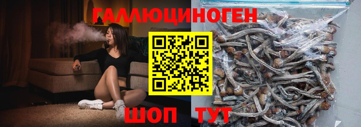 Прохладный  Галлюциногенные грибы Psilocybine cubensis  Вход с VPN 